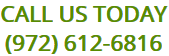 Call our Plano Tree Service